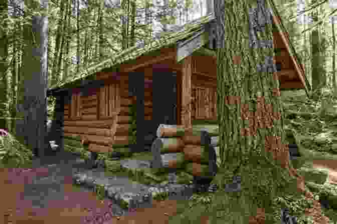 A Couple Building A Log Cabin In A Forest The Ultimate How To Live Off The Grid: Off Grid Living To Learn How To Go Off The Grid Surviving Off Grid And To Know Off The Grid Living Equipment You Need Living Off The Land Survival