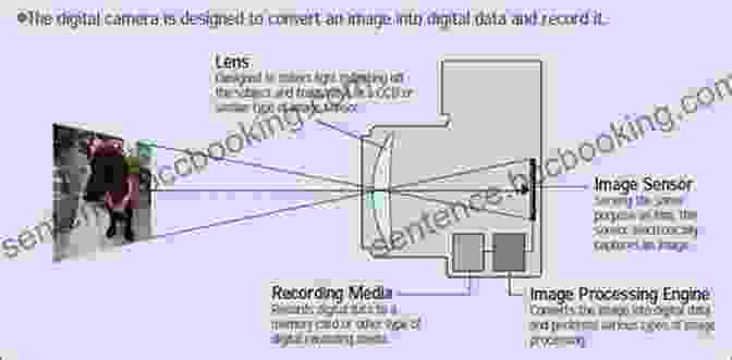 A DSLR Camera Capturing A Scene, Illustrating The Principles Of Digital Filmmaking Canvas Digital Filmmaking (Digital Filmmaker Series)