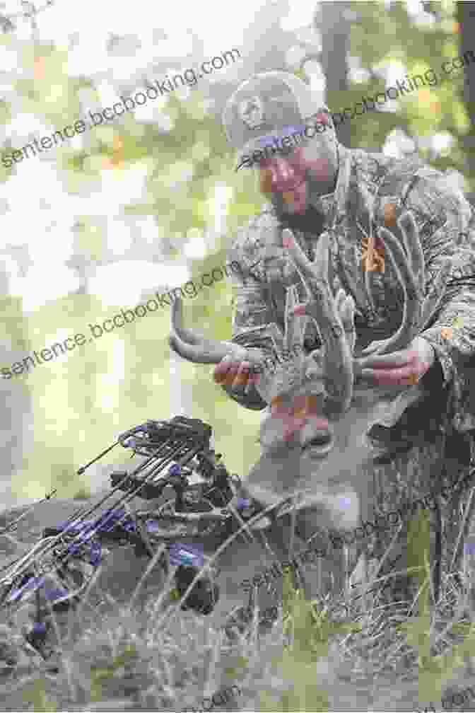 A Hunter Carefully Field Dressing A Harvested Deer Whitetail Deer Hunting Made Simple: A Beginners Resource To Whitetail Deer Hunting