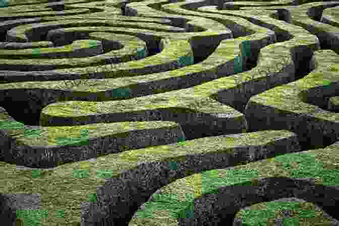 A Labyrinthine Maze, Its Twisting Paths Symbolizing The Tangled Web Of Secrets That Arliss Cutter Must Navigate Bone Rattle: A Riveting Novel Of Suspense (An Arliss Cutter Novel 3)