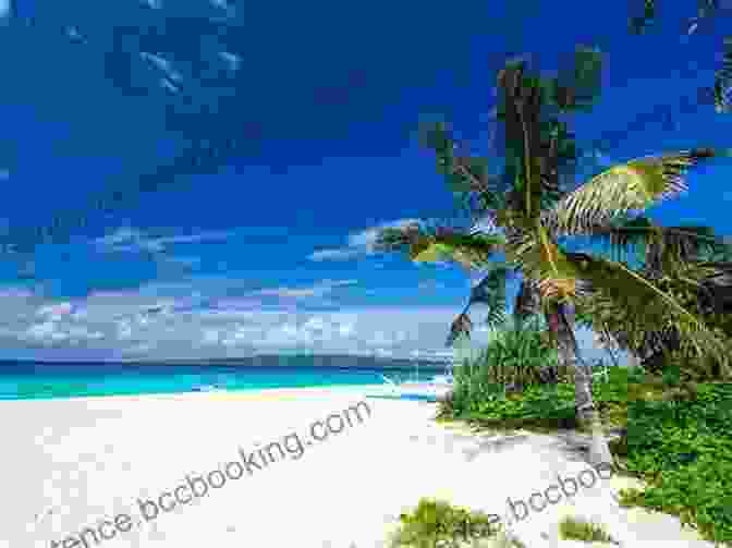A Panoramic View Of Puka Puka's Pristine Beach, With Turquoise Waters And Lush Vegetation. The Of Puka Puka: A Lone Trader In The South Pacific (Eland Classics)