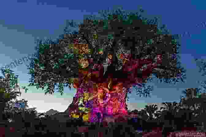 A Photo Of The Tree Of Life At Animal Kingdom Where Is Walt Disney World? (Where Is?)