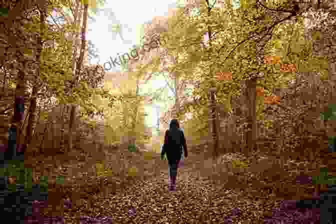 A Woman Walking Along A Path Through A Forest, With The Light Shining Through The Trees A Stone Of Hope: A Memoir