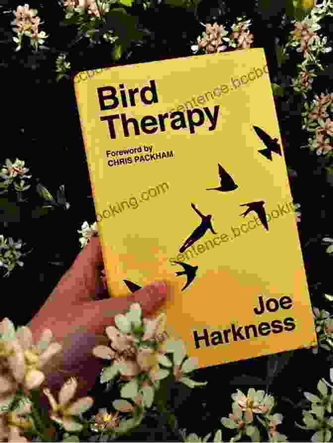 Book Cover Of Bird Therapy By Joe Harkness Bird Therapy Joe Harkness