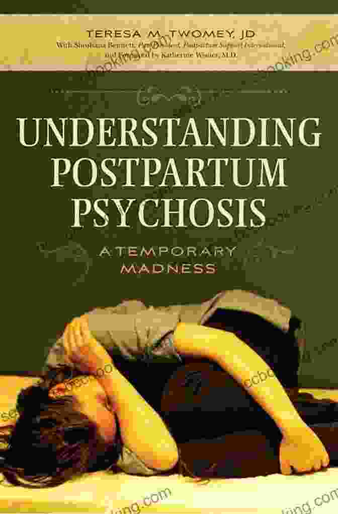 Cover Of Understanding Postpartum Psychosis Temporary Madness Understanding Postpartum Psychosis: A Temporary Madness