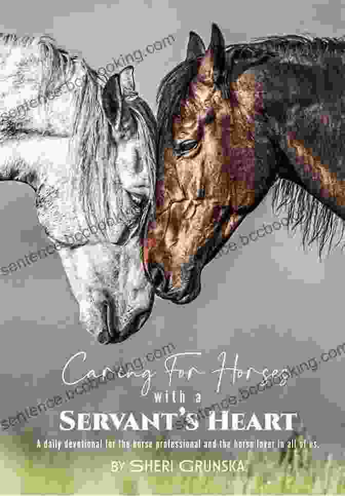 Daily Devotional For The Horse Professional Book Cover Featuring A Horse And Rider Caring For Horses With A Servants Heart: A Daily Devotional For The Horse Professional The Horse Lover In All Of Us