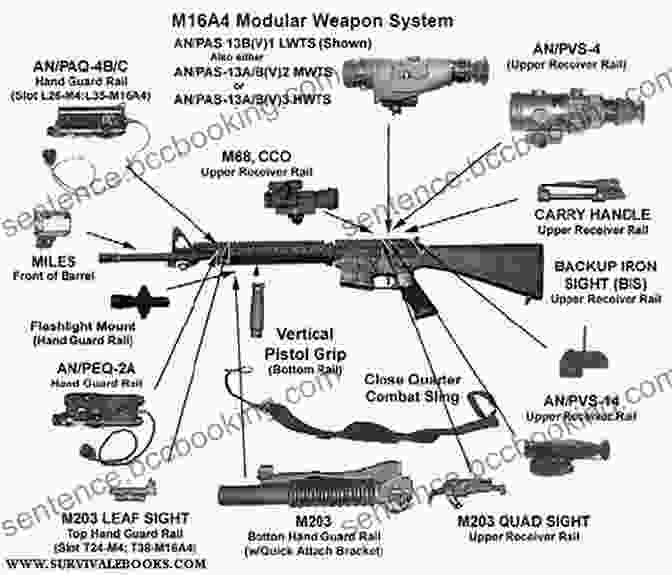 Detailed Diagram Of The Carbine's Anatomy And Components The Home Schooled Shootist: Training To Fight With A Carbine