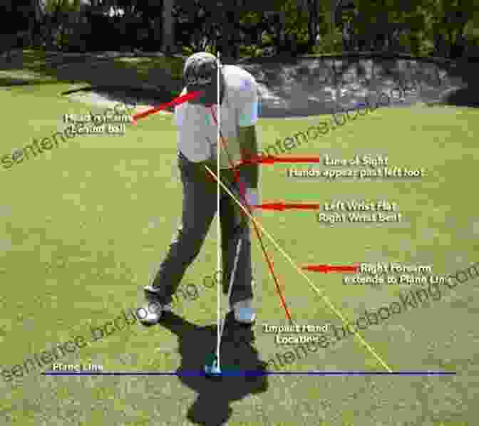 Diagram Illustrating The Proper Golf Swing Mechanics How To Crush The Ball 20 Yards Further