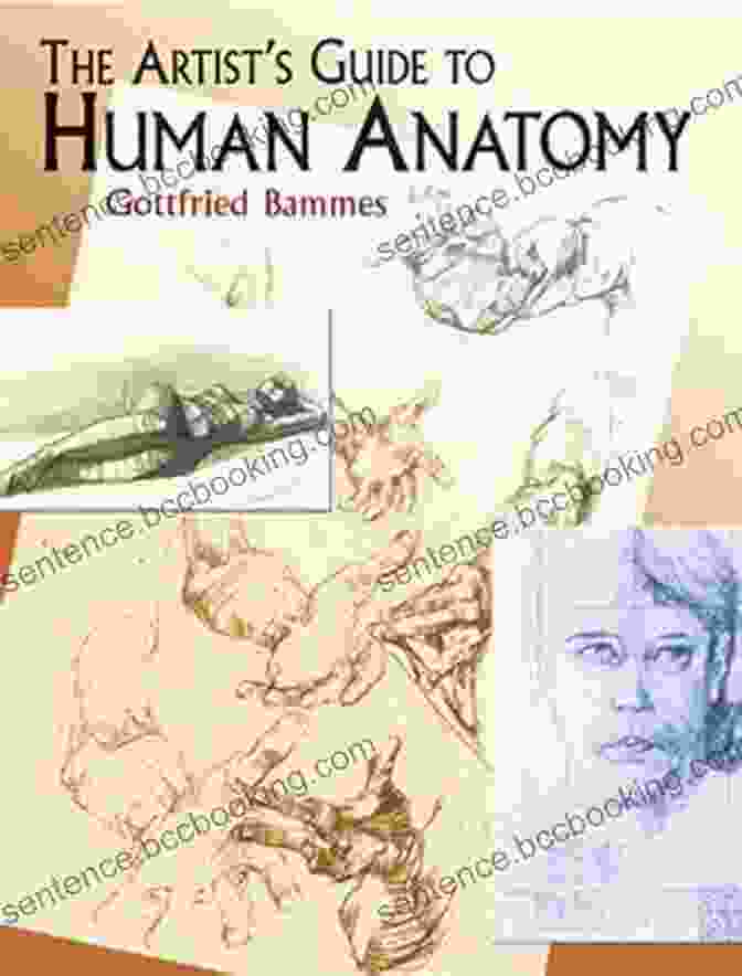 Dover Anatomy For Artists Author The Human Figure (Dover Anatomy For Artists)