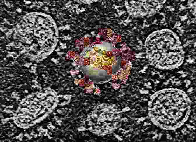 Electron Microscope Image Of The COVID 19 Virus Viral: The Search For The Origin Of COVID 19