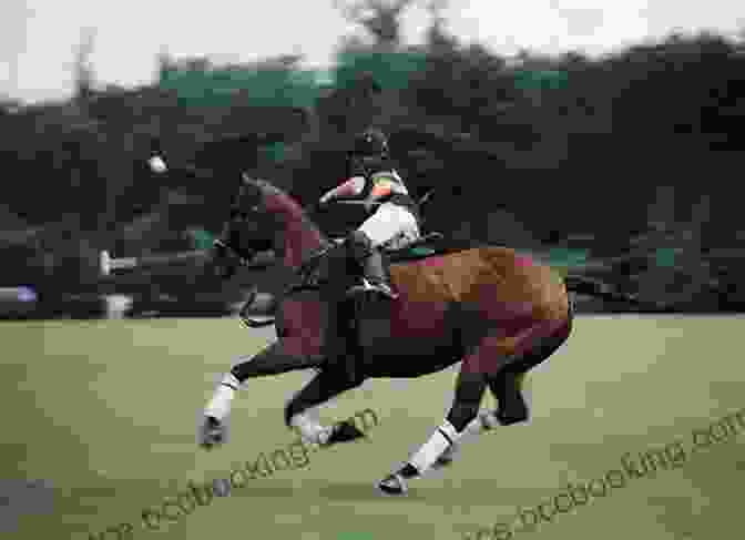 Equine Athlete Playing Polo Florida Equine Athlete: August 2024 John Baichtal