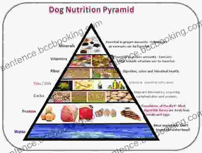 Fueling Fido: Nutrition And Health For Optimal Canine Well Being How To Be Your Dog S Best Friend: A Training Manual For Dog Owners