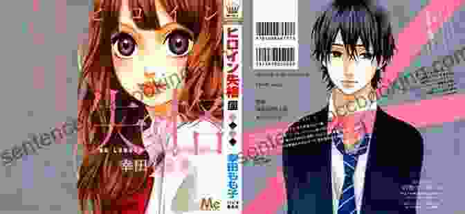 Heroine Or Homemaker Manga Net 16 Cover Heroine Or Homemaker #2 (Manga Net 16)