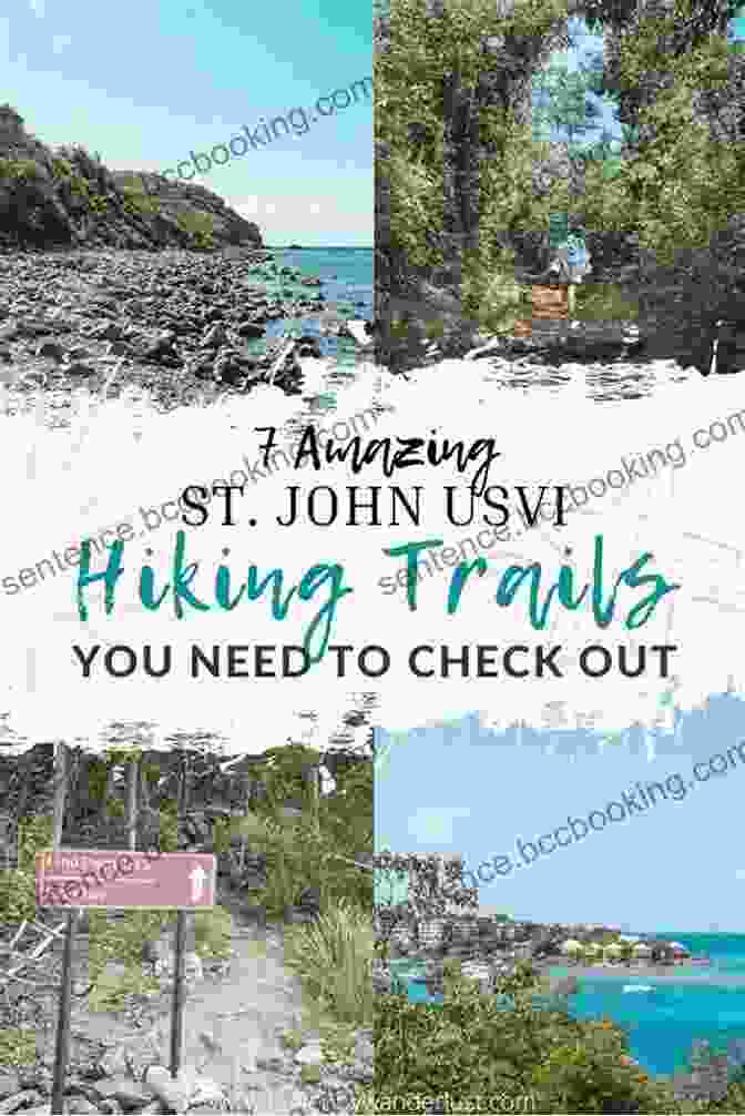 Hikers Exploring The Lush Trails Of St John St John: Feet Fins And Four Wheel Drive