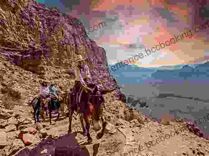Horse Canyon Hiking Trail Exploring Cedar Mesa Utah: Anasazi Canyon Hikes