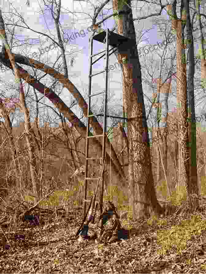 Hunter Perched In A Tree Stand, Overlooking The Forest Canopy SQUIRREL HUNTING FOR BEGINNERS: The Complete Guide On How To Hunt Squirrels Including Tools Equipment Supplies Tips And Tricks Strategies And Tactics For Perfect Squirrel Hunting