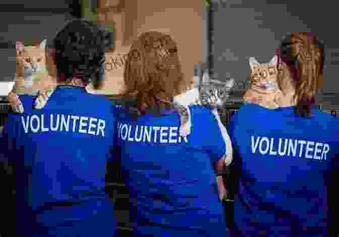Image Of People Volunteering At An Animal Shelter Event For Animal Lovers Kim Cano