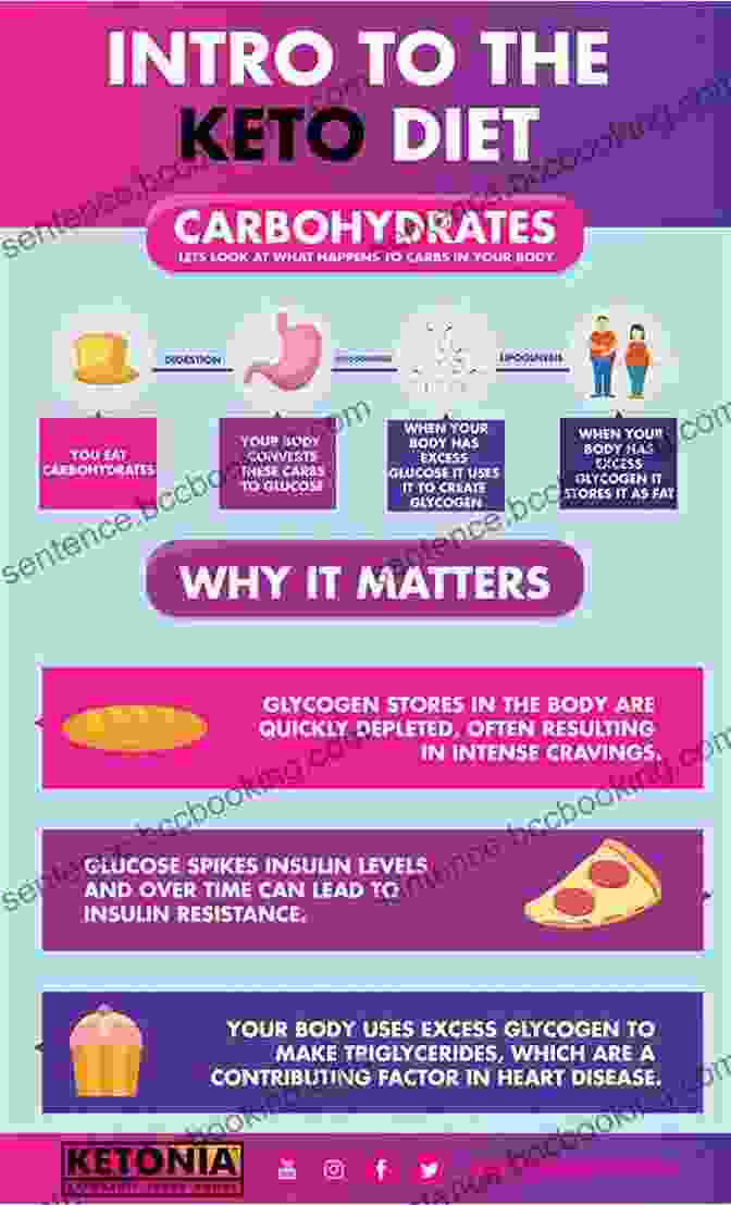 Ketogenic Diet Infographic: Understanding The Basics The Advanced Ketogenic Diet For Beginners: 150 EASY SIMPLE BASIC KETOGENIC DIET RECIPES