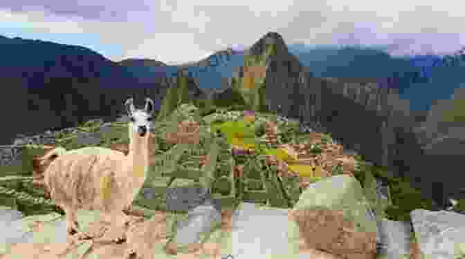 Machu Picchu, Peru View Of The Ruins With Llamas In The Foreground Unbelievable Pictures And Facts About Machu Picchu