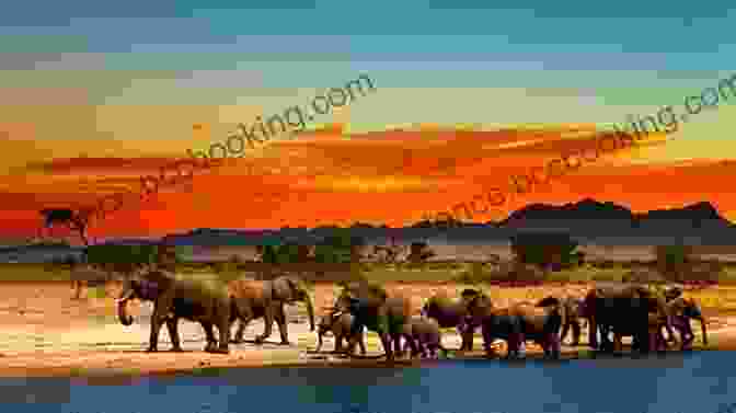 Panoramic View Of The African Savanna, With A Distant Herd Of Elephants Loving Africa Joan Vassar