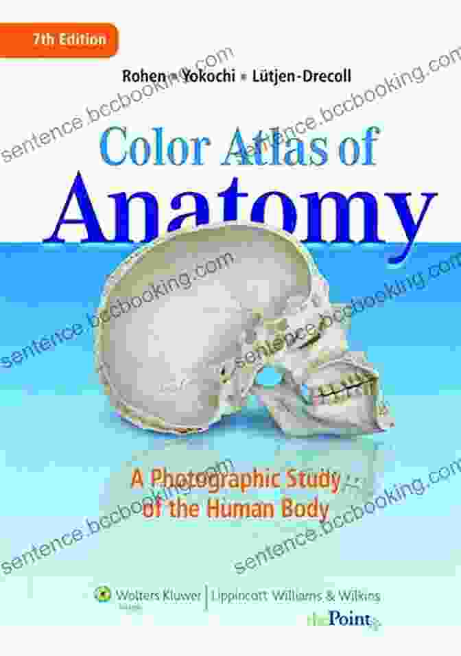 Photographic Atlas: A Comprehensive Photographic Study Of The Human Body Anatomy: A Photographic Atlas (Color Atlas Of Anatomy A Photographic Study Of The Human Body)