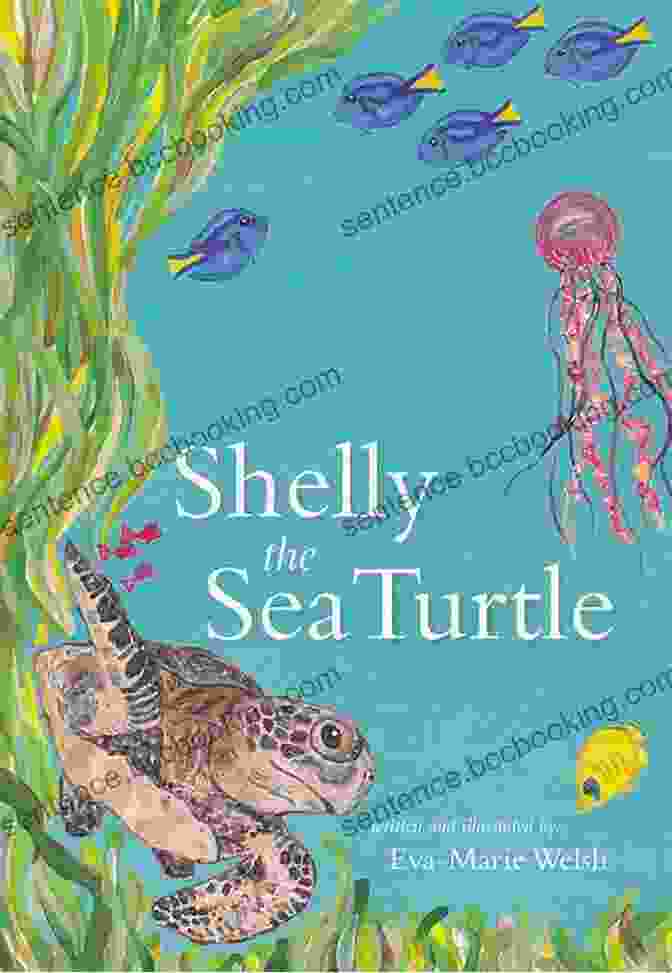 Sandy The Seashell Meets Celeste The Wise Old Sea Turtle, Who Offers Her Guidance And Support Sandy The Lonely Seashell Finds A Forever Home