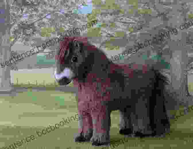 Shaggy Pony Standing In A Lush Green Forest The Shaggy Pony (Tales Of A Shaggy Pony 1)