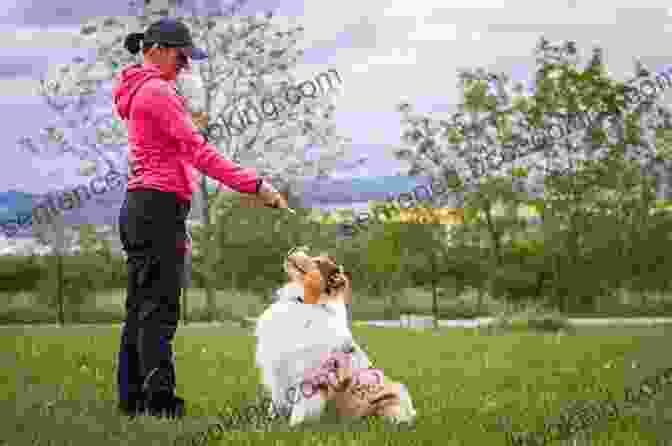 The Unbreakable Bond: Forging A Lasting Relationship With Your Canine Companion How To Be Your Dog S Best Friend: A Training Manual For Dog Owners