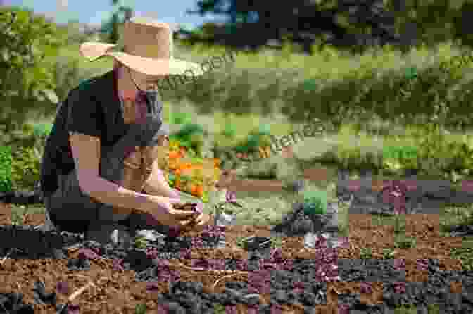 Woman Gardening In A Herb Garden The Native American Herbalist S Bible 10 In 1 : A Modern Guide To Traditional Herbalism Build Your First Herb Lab At Home Find Out Thousands Of Herbal Remedies To Improve Wellness