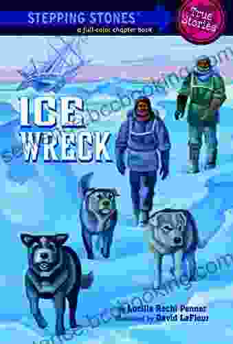 Ice Wreck (Totally True Adventures)