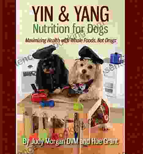Yin Yang Nutrition For Dogs: Maximizing Health With Whole Foods Not Drugs