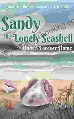Sandy The Lonely Seashell Finds A Forever Home