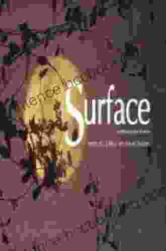 Surface: Land/water And The Visual Arts Symposium 2004