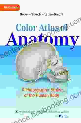 Anatomy: A Photographic Atlas (Color Atlas Of Anatomy A Photographic Study Of The Human Body)