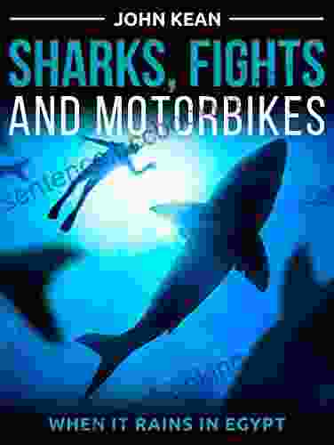 Sharks Fights And Motorbikes: When It Rains In Egypt